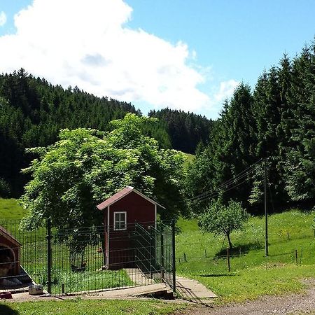 Ferienwohnung Ringwald Biederbach Baden-Württemberg Dış mekan fotoğraf