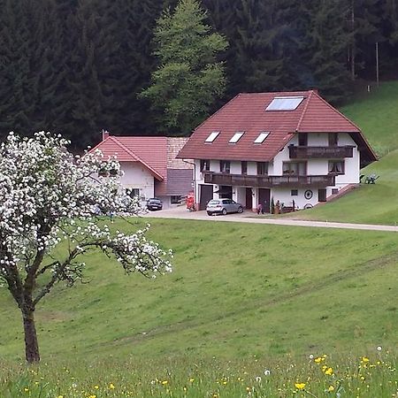 Ferienwohnung Ringwald Biederbach Baden-Württemberg Dış mekan fotoğraf