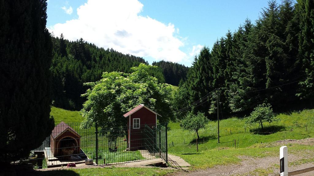 Ferienwohnung Ringwald Biederbach Baden-Württemberg Dış mekan fotoğraf