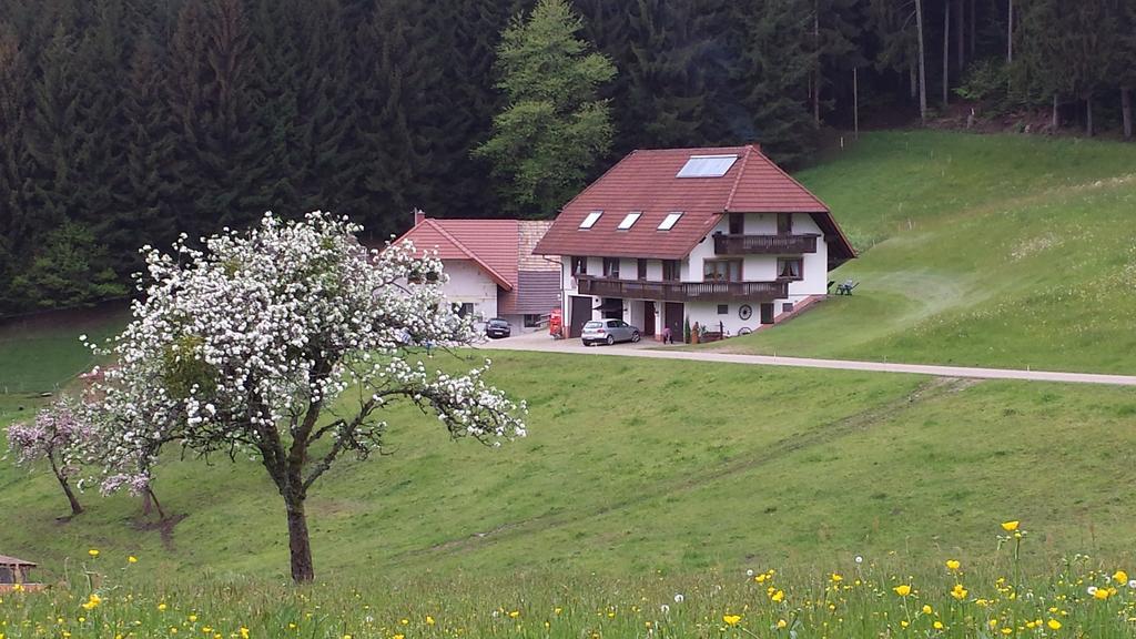 Ferienwohnung Ringwald Biederbach Baden-Württemberg Dış mekan fotoğraf
